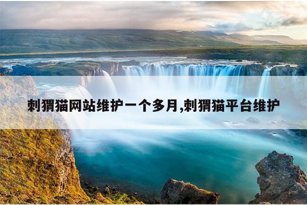 蚂蚁官网加速器安卓版下载,蚂蚁官方加速器下载