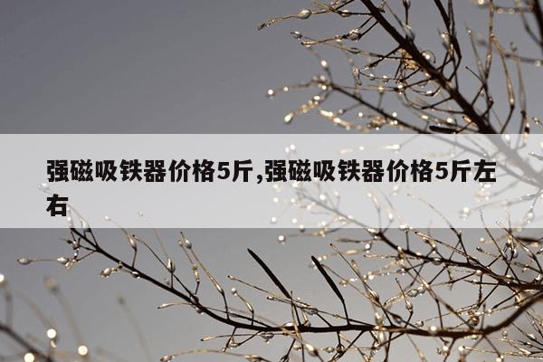 蜘蛛bt在线搜索引擎,蜘蛛bt在线搜索引擎下载