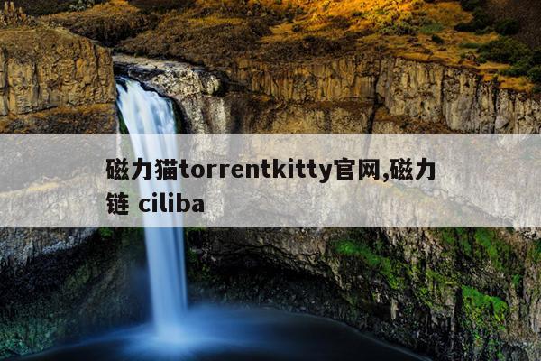 种子搜索器磁力天堂,搜索bt种子吧