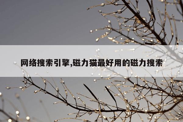 磁力狗官网磁力狗,磁力狗高效