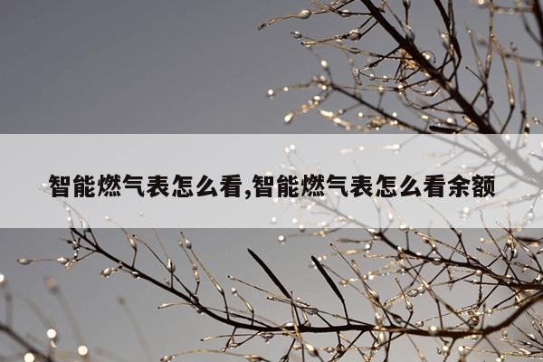 网络搜索引擎,磁力猫最好用的磁力搜索