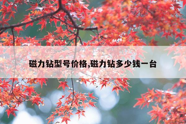 兔子bt种子搜索磁力天堂,兔子磁力搜索器