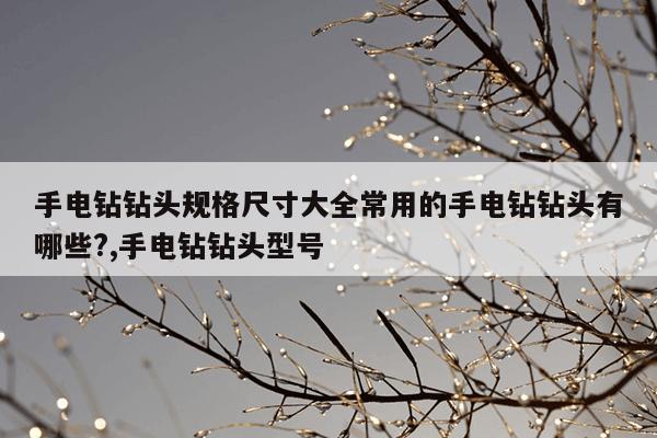 磁力狗在线官网搜索引擎,最好搜索引擎磁力狗