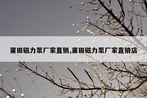 强磁吸铁器价格多少钱一斤,强磁吸铁视频