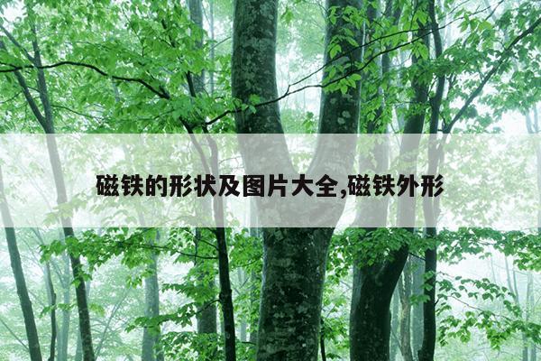 莆田磁力泵厂家直销,莆田磁力泵厂家直销店