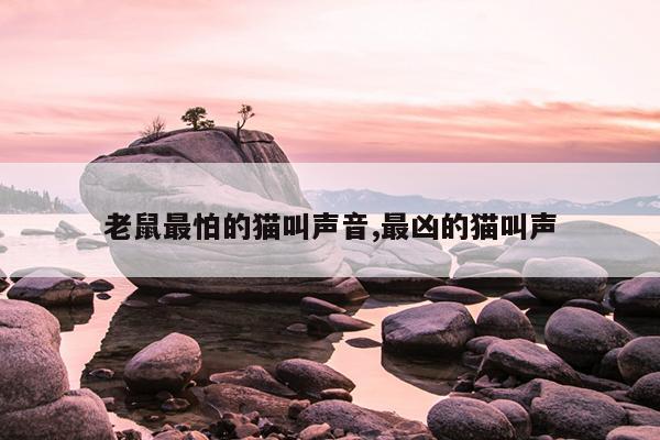 蚂蚁3d进化,3d蚂蚁进化