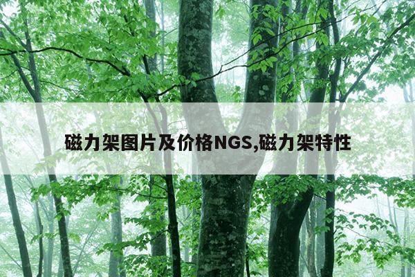 磁力泵厂家哪家好,磁力泵厂家十大品牌