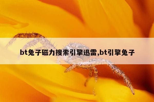磁力猫torrentkitty地址,磁力猫最佳引擎