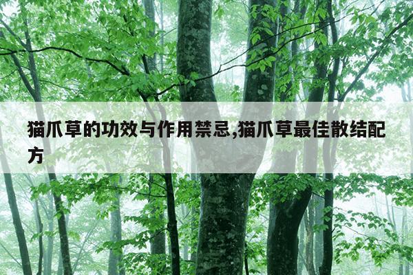 迅雷资源搜索引擎蚂蚁,迅雷资源助手网页