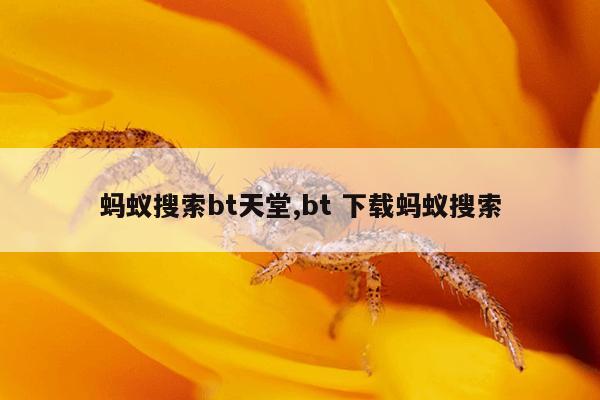 国内磁力泵厂家排名,进口磁力泵品牌