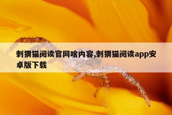 bt磁力链最好用的磁力搜索引擎,最高效磁力链搜索