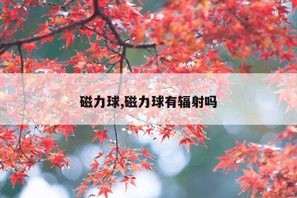 东莞电磁铁厂家,东莞磁心电磁铁