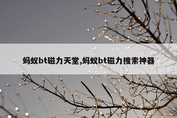 磁力球,磁力球有辐射吗