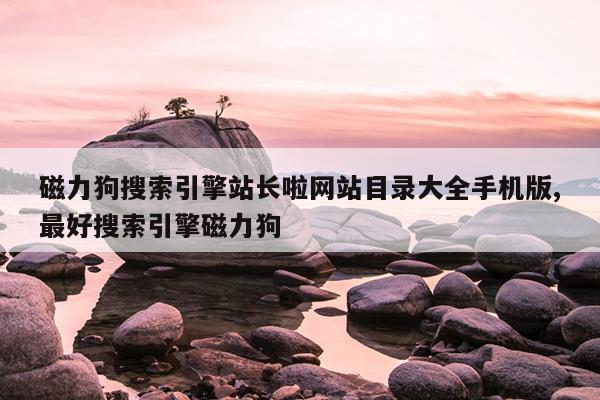 羽毛球的规格和型号,羽毛球球号110区别