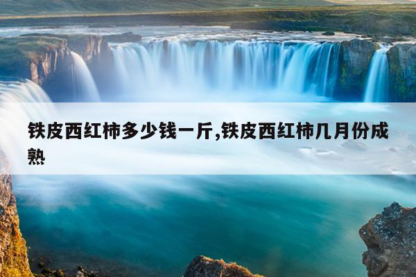 磁力狗搜索引擎站长啦网站目录大全手机版,最好搜索引擎磁力狗
