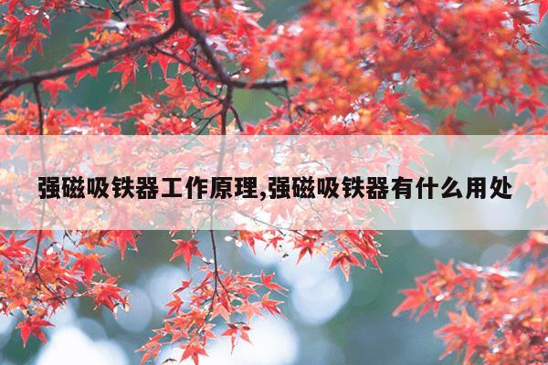 搜索引擎营销的注意事项,搜索引擎营销的注意事项包括