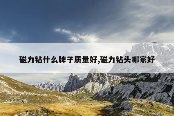 高温磁力泵相关论文,高温磁力泵厂家