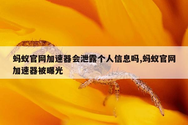 蜘蛛搜索引擎在线,蜘蛛搜索bt搜索引擎