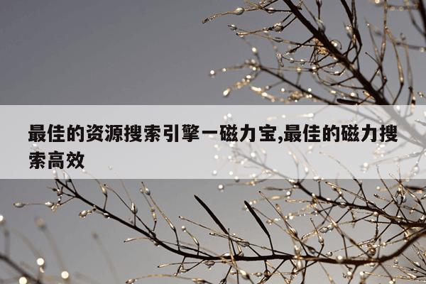 搜索大全引擎入口,搜索大全引擎入口网页