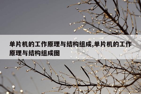 在线种子搜索器磁力,种子搜索在线引擎