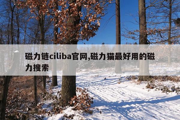 种子搜索神器在线网页下载,种子在线搜索器神器