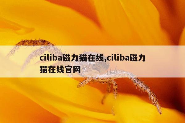 BT磁力种子搜索DHT,bt磁力种子搜索官网