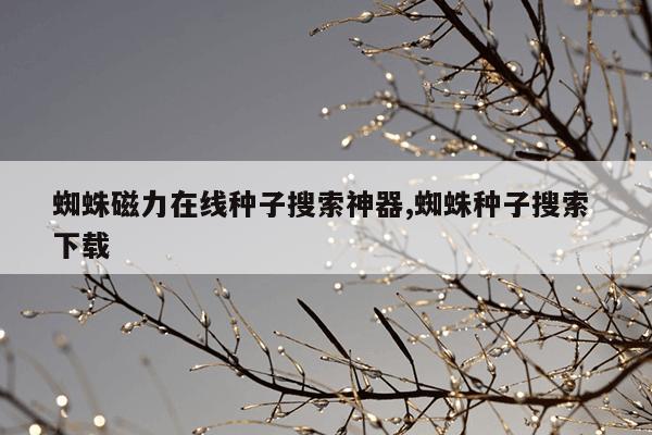 磁力片对儿童有危害吗,磁力片对小孩的好处