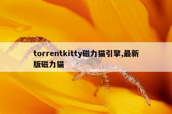 蜘蛛磁力在线种子搜索神器,蜘蛛种子搜索 下载