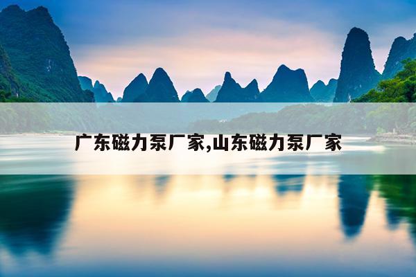 液氯磁力泵结构图,液氯泵厂家哪个最好