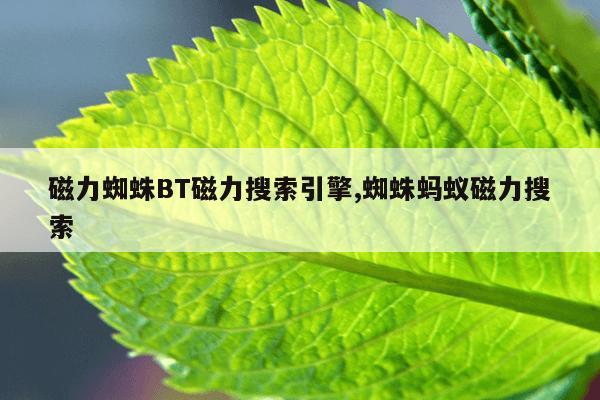 种子引擎搜索资源,种子引擎app