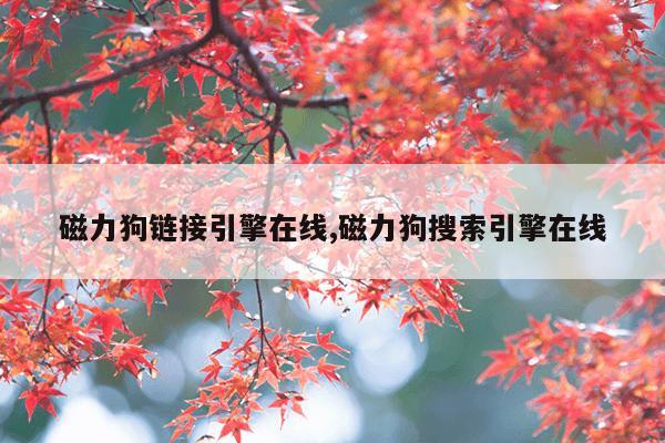 磁力搜索引擎-磁力天堂迅雷,磁力搜索250