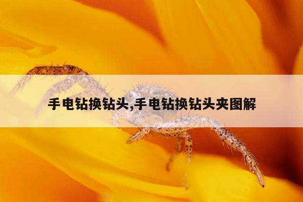 磁力搜索引擎-磁力天堂趣导航,磁力天堂高效引擎