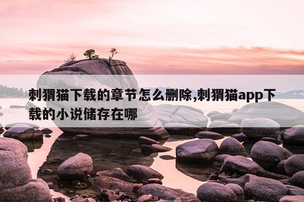 磁力天堂官网链接,磁力天堂蚂蚁