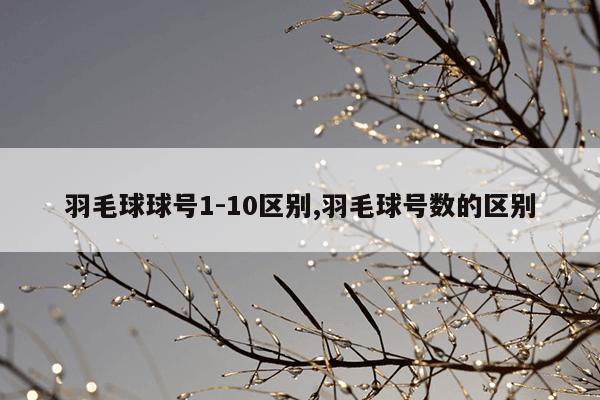 最好用的种子磁力搜索引擎,最好的磁力种子搜索器