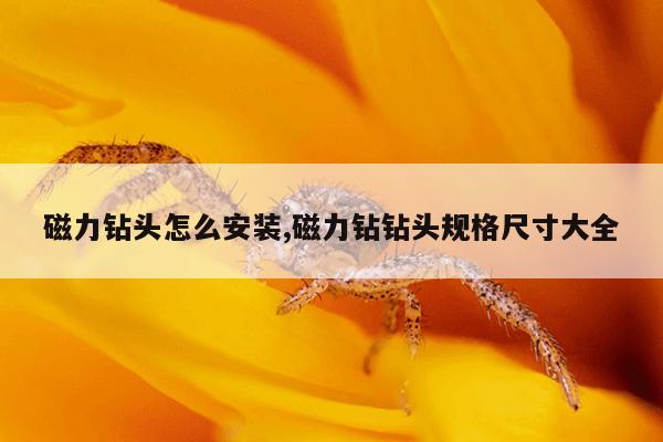 bt磁力猫链接在线,搜磁力猫