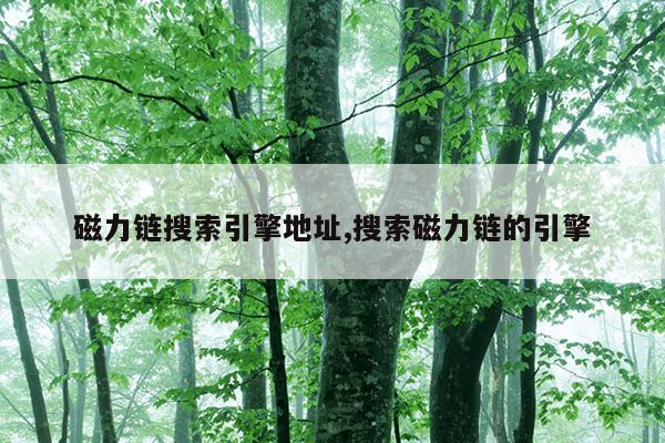 磁力岛bt岛地址,最高效的磁力岛