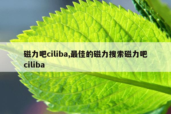 儿童磁力贴哪个牌子好,儿童磁力贴哪个牌子好用