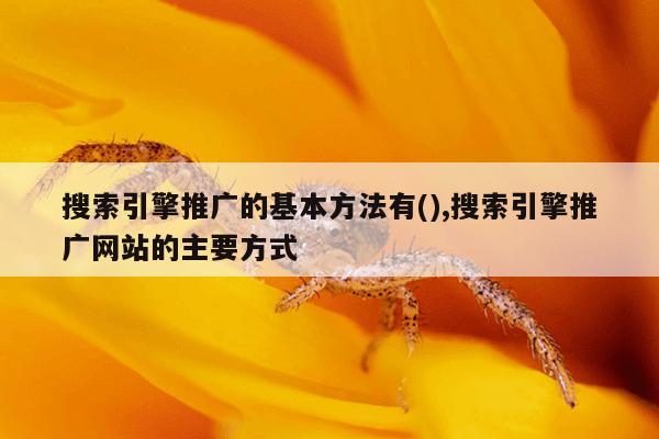 刺猬猫作家收益,刺猬猫写小说怎么赚钱