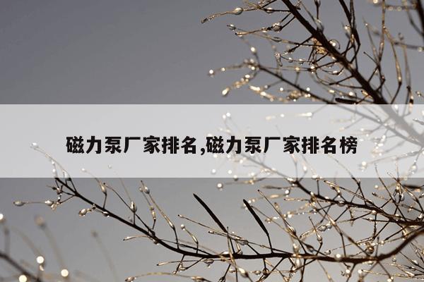 输送机专业制造厂家照片,输送机生产厂家输送机