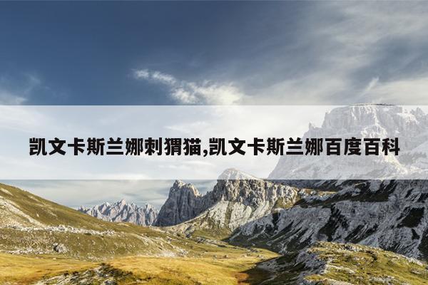 天然气偷气最新方法刀片,天然气偷气的各种方法