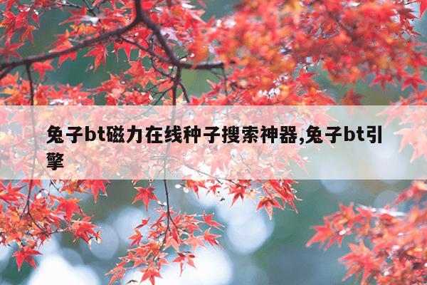 搜索引擎磁力猫最新版,磁力猫中文引擎