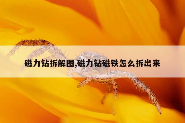 磁力猫链接在线,磁力猫中文引擎
