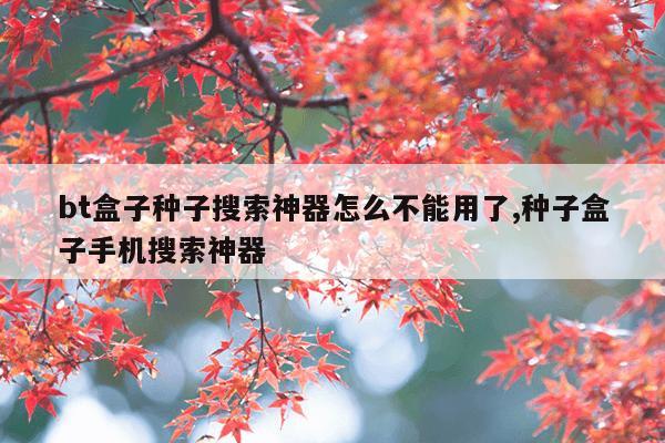 蜘蛛磁力搜索天堂,磁力蜘蛛最新版