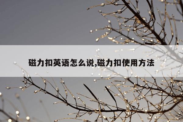 在线种子搜索器神器,在线种子搜索器神器免费下载