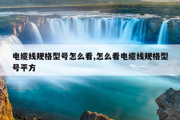 cilimao磁力在线搜索引擎,磁力高效搜索