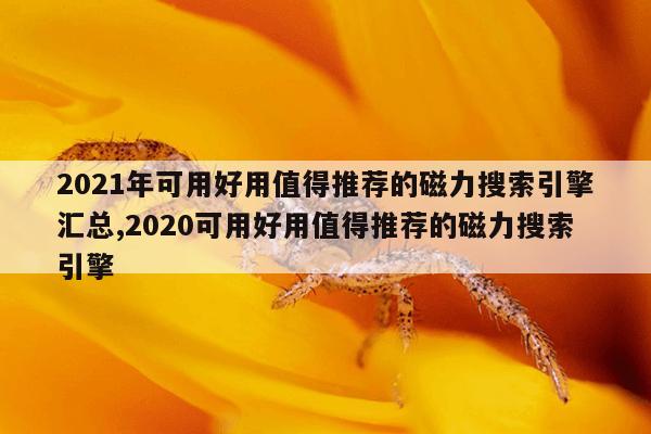 磁力泵结构图及维修视频,磁力泵结构图及维修视频教程