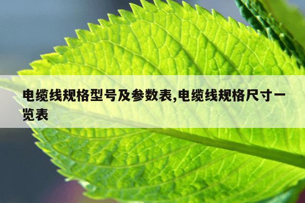 最好用的种子搜索磁力搜索,2021好用的种子搜索引擎