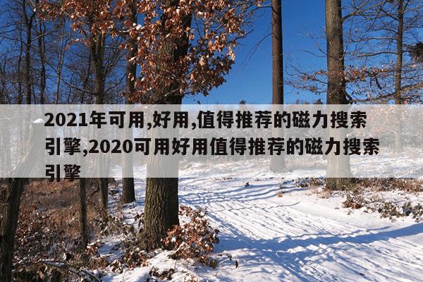 磁力bt种子搜索神器,好用的种子磁力搜索引擎