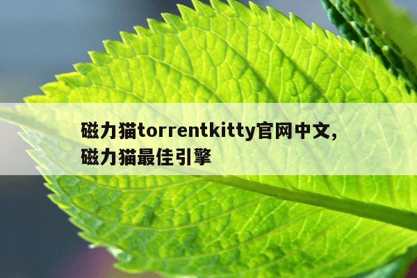 2021年可用,好用,值得推荐的磁力搜索引擎,2020可用好用值得推荐的磁力搜索引擎