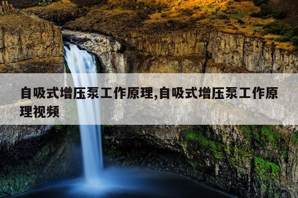 磁力猫torrentkitty官网中文,磁力猫最佳引擎